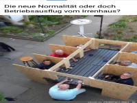 die neue normalitaet