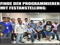 Programmierer mit Festanstellung