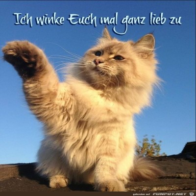 Winke-Winke.jpg von Keule56