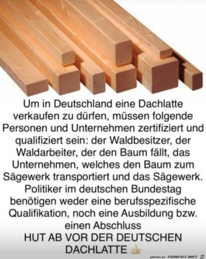 Dachlatte.jpg auf www.funpot.net
