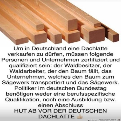 Dachlatte.jpg von Pius