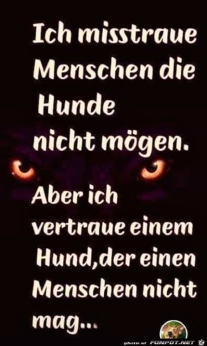 Hunde.jpg auf www.funpot.net