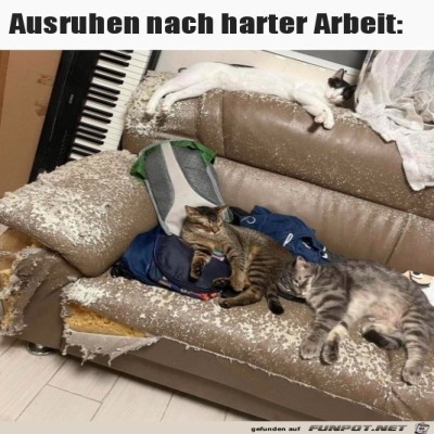 Ganze-Arbeit-geleistet.jpg von Ava