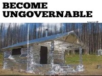 Eine mit Alufolie bedeckte Htte im Wald