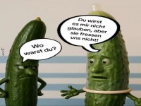 Zwei Gurken im Gesprch ber Sicherheit