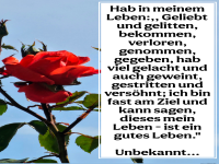 hab in meinem leben