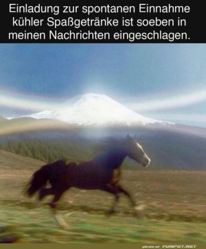 Erfrischungsritt-zu-den-Getrnken.jpg auf www.funpot.net