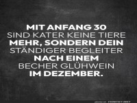 Kater oder Glhweintier? Der 30er-Spa!