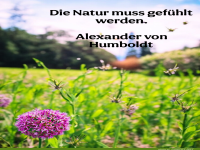 die natur muss gef�hlt werden