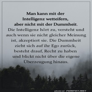 Die-Dummheit-zieht-sich-auf-ihr-Ego-zur�ck.jpg von Goldlocke