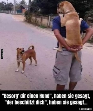 Sicherheitsdienst-�-la-Hund:-Luxus-pur!.jpg auf www.funpot.net
