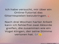 Gitarrenk�nste: Vom Anf�nger zum Akkordmeister