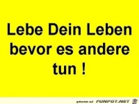 lebe dein leben