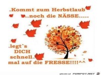 kommt zum Herbstlaub auch noch die N�sse.....