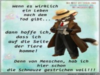 Wenn es wirklich ein Leben