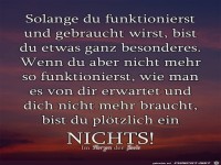 solange du funktionierst und gebraucht wirst,.....