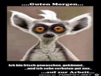 Guten Morgen