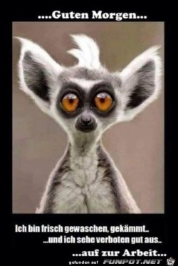 Guten-Morgen.jpg auf www.funpot.net
