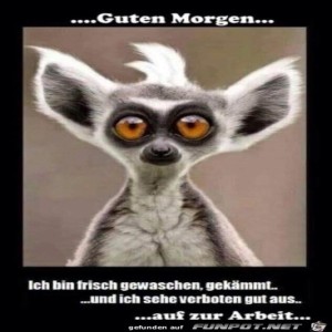 Begr&uuml;&szlig;ungsbild