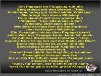 Ein Papagei im Flugzeug ruft die Stewardess mit den Worten