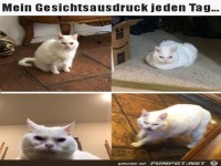 Mein Gesichtsausdruck