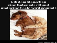 Tiere braucht der Mensch