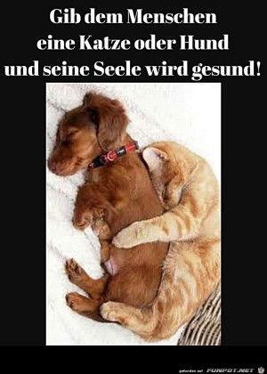 Tiere-braucht-der-Mensch.jpg auf www.funpot.net