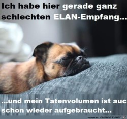 Schlechten-Elan-Empfang.jpg auf www.funpot.net