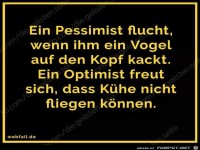 Optimist