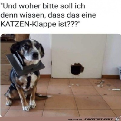 Woher-soll-ich-das-denn-wissen?.jpg von Lina