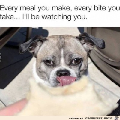 Ich-beobachte-dich.jpg von Lina