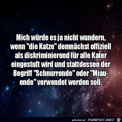 Die-Katze.jpg von Matteo