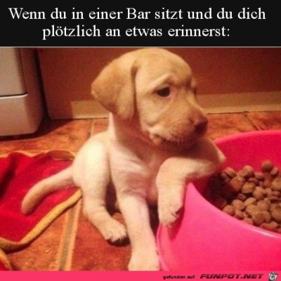 In-Erinnerungen-schwelgen.jpg von Finn