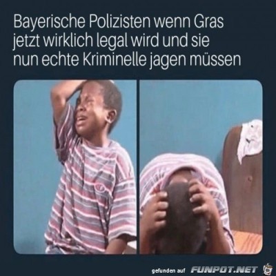 So-was-Bl&ouml;de.jpg von Mia
