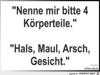 4 Koerperteile