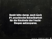 Die R�ckkehr der Fruchtfliegen