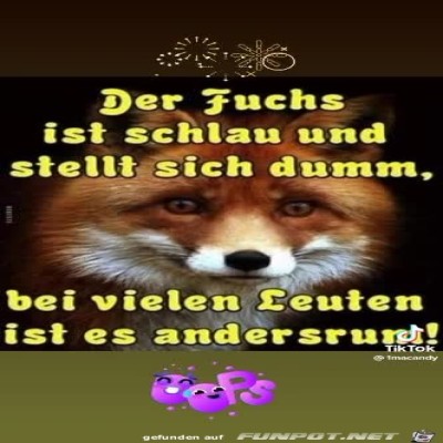 Der-Fuchs.jpg von Keule56
