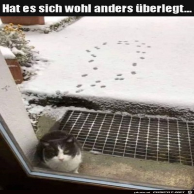 Zu-kalt.jpg von Jonah