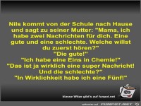 Nils kommt von der Schule nach Hause und sagt zu seiner...