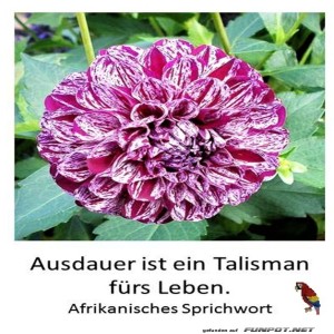 herz-Bild: Ausdauer 2
