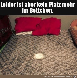 Bett-ist-besetzt.jpg auf www.funpot.net