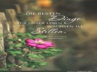 Die besten Dinge