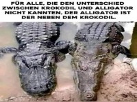Unterschied zwischen Krokodil und Alligator