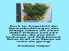 weiter