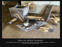 Zerst�rtes Katzenm�bel als Warnung
