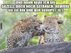 weiter