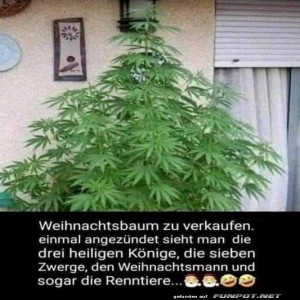 fun-Bild: Einmal anzünden und die Magie sehen!