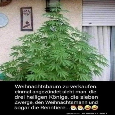 Einmal-anzünden-und-die-Magie-sehen!.jpg von Schneeflittchen