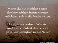 Wald statt Weltuntergang: Nachrichtenpause!