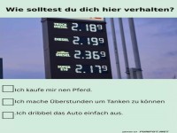 Pferd statt Porsche: Kraftstoffkrise 2023